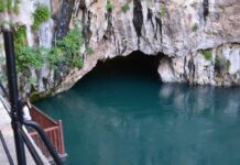 Structure of the Palace Complex