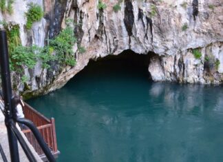 Structure of the Palace Complex